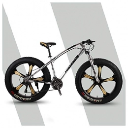 ACDRX Fat Tyre Mountain Bike ACDRX Mountain Trail Bicycle All-Terrain 26 Inch 24 Speeds, Fat Tire MTB, Front Suspension Double Disc Brake, High Carbon Steel Mountain Bikes, Bike 5 Spoke, silver