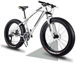 Leifeng Tower Fat Tyre Mountain Bike Leifeng Tower Lightweight， Fat Tire Mountain Bike Mens, Beach Bike, Double Disc Brake 20 Inch Cruiser Bikes, 4.0 wide Wheels, Adult Snow Bicycle Inventory clearance (Color : Silver, Size : 7speed)