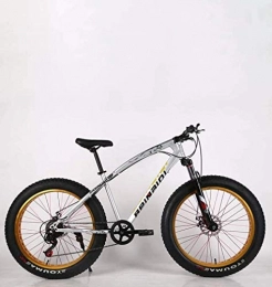 QZ Fat Tyre Mountain Bike QZ 24 Inch Adult Fat Tire Mountain Bike, Double Disc Brake Snow Bicycle, High-Carbon Steel Frame Cruiser Bikes Mens, Aluminum Alloy Rims Wheels Beach Bicycles (Color : Silver, Size : 21 speed)