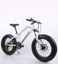 QZ Bike QZ Fat Tire Mens Mountain Bike, Double Disc Brake / High-Carbon Steel Frame Bikes, 7 Speed, Beach Snowmobile Bicycle 20 inch Wheels (Color : A)