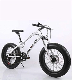 QZ Bike QZ Fat Tire Mens Mountain Bike, Double Disc Brake / High-Carbon Steel Frame Bikes, 7 Speed, Beach Snowmobile Bicycle 20 inch Wheels, Colour:E (Color : A)