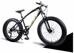 QZ Fat Tyre Mountain Bike QZ Hardtail Mountain Bikes, Dual Disc Brake Fat Tire Cruiser Bike, High-Carbon Steel Frame, Adjustable Seat Bicycle 26 inch 21 speed (Color : Black, Size : 26 inch 21 speed)