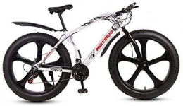 QZ Fat Tyre Mountain Bike QZ Mountain Bike Bicycle, 26 Inch Wheels Fat Tire MTB Bike Hardtail, High-Carbon Steel Frame, Dual Disc Brake (Color : B, Size : 24 speed)