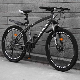 Alqn Bike Alqn Adult Mountain Bike, High-Carbon Steel Frame Beach Bicycle, Double Disc Brake Off-Road Snow Bikes, Aluminum Alloy 24 inch Wheels, Grey, 27 Speed