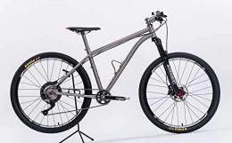 ATCN Titanium bike for adults and boys.