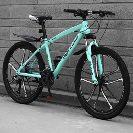 DGAGD Mountain Bike DGAGD 26 inch mountain bike bicycle adult one-wheel variable speed ten-wheel bicycle-Light blue_24 speed