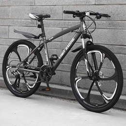 WYZQ Mountain Bike Mountain Bike Off-Road Bicycle, 24 Inch 6-Spoke One-Piece Wheel, Double Disc Brake, High Carbon Steel Hard Tail Frame, Shock-Absorbing, Gray, 21 speed