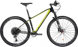 YANQ Bike YANQ Mountain Bike Carbon Fiber, Two-disc Brakes GX 29-inch 12-Speed, Climbing Men's Track Adult, C, 29in * 17in