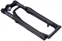 RST Mountainbike Gabeln RST Unisex – Erwachsene Federgabel 26" Omega TNL, schwarz glänzend