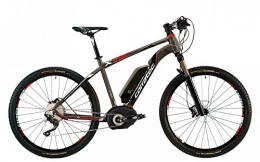  Elektrische Mountainbike Corratec: E-Power X-Vert 29er 49 cm grey matte-white-red E-MTB