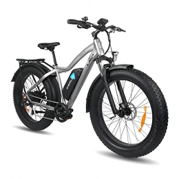 DERUIZ Elektrische Mountainbike DERUIZ Lava E-Bike 26" Elektrische Fahrräder für Erwachsene Ebikes 48V 750W Herausnehmbarer 13Ah Batterie Dicke Übergroße Reifen Fahrrad Beach Cruiser Fat Bike(Grau)