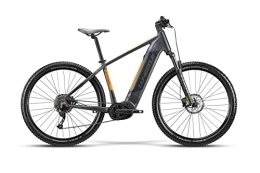 WHISTLE Elektrische Mountainbike Neues E-Bike Whistle 2022 B-Race A6.2 9V Motor Bosch Größe 46