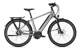 Derby Cycle Fahrräder Raleigh Bristol XXL R Bosch Elektro Fahrrad 2021 (28" Herren Diamant XXL / 63cm, Steelgrey Matt (Herren))