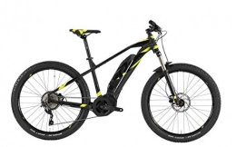 RAYMON Elektrische Mountainbike RAYMON E-Sevenray 6.0 27.5'' Pedelec E-Bike MTB schwarz / grn 2019: Gre: 40cm