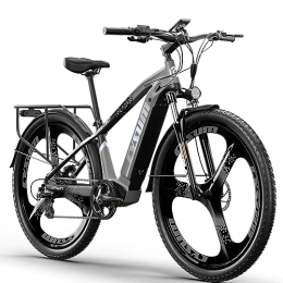 RICH BIT Elektrische Mountainbike RICH BIT M520 E-Bike Männer Frauen, 29 Zoll E-Mountainbike, 48V Lithium-Ionen-Akku E-Bike, 7-Gang-Elektrofahrrad (grau05)