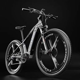 RICH BIT Fahrräder RICH BIT TOP-520 29" Elektro-Mountainbike, 48 V 10 Ah Lithium-Akku E-Bike, Hydraulische Bremsen (Grau)