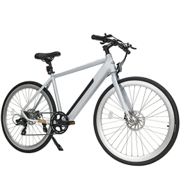 Rymic Fahrräder Rymic Infinity 26'' Electric City Bike, Dual Torque Sensor mit abnehmbarem Lithium-Akku für Erwachsene, 21-Gang-Schaltung Elektrofahrrad mit LCD-Meter (Silber Weiß)