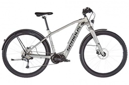 Serious Elektrische Mountainbike SERIOUS Intention 9.0 29" matt Silver Rahmenhöhe 50cm 2019 E-Cityrad