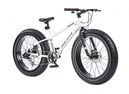 Coyote Fat Tire Mountainbike Coyote Dick und Dünn All Terrain Bike – Weiß, 40, 6 cm