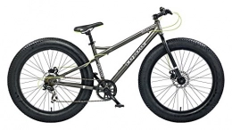 Coyote Fat Tire Mountainbike Coyote Fat Reifen All Terrain Bike – Grau, 43 cm