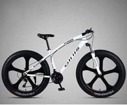 Hycy Fahrräder HYCy Mountainbike Fahrrad, 26 × 4, 0 Zoll Fat Tire MTB Bike, Hardtail Mountainbike Für Damen, Stoßdämpfende Vorderradgabel Und Doppelscheibenbremse