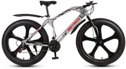 QZ Fat Tire Mountainbike QZ Fahrrad Mountainbike, 26 Zoll-Rder Fat Tire Bike MTB Hardtail, High-Carbon Stahlrahmen, Doppelscheibenbremse (Color : C, Size : 24 Speed)