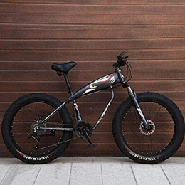 QZ Fat Tire Mountainbike QZ Mountainbike Fahrrad for Erwachsene, Fat Tire Hardtail MBT Bike, High-Carbon Stahlrahmen, Doppelscheibenbremse, 26-Zoll-Rder 5-25 (Color : Grey, Size : 27 Speed)