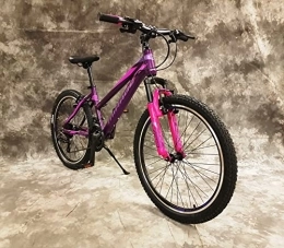 generisch Fahrräder 24 Zoll ALU Damen MTB Gefedert mit 21-Gang Kettenschaltung Shimano Daumenklick Schaltung NEU 2466-LILA-PINK