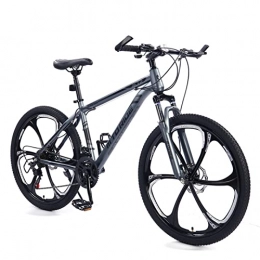 AZXV Mountainbike AZXV Mountainbike mechanische doppelte Scheibenbremsen Stoßabsorbierende Verschiebung MTB-Fahrrad, 21 Geschwindigkeiten, 26-Zoll-Räder, mehrfache Farben, Radfahrrad mit h Grey