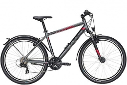 ZEG Fahrräder Bulls Wildtail Street 26 Zoll Herrenfahrrad 18 Gang Kettenschaltung 2020, Rahmenhöhe:37 cm, Farbe:grau