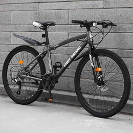 DGAGD Fahrräder DGAGD 24-Zoll-Mountainbike-Fahrrad Erwachsene Einrad-Speichenrad mit Variabler Geschwindigkeit-grau_24 Geschwindigkeit