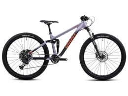 Ghost  Ghost Riot Pro Fully Mountainbike Jugendfahrrad (29" | grau)