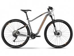 HAIBIKE Fahrräder HAIBIKE SEET HardNine 6.0 Mountain Bike 2019 (L / 50cm, Titan / Bronze / Schwarz)
