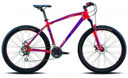Legnano Fahrräder Legnano 27, 5 Zoll Lavaredo Mountainbike 21 Gang, Rahmengröße:49 cm, Farbe:matt-rot-blau