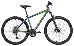Legnano Fahrräder Legnano 29 Zoll MTB Andalo Aluminium Scheibenbremsen 27 Gang Grau-Grün 45 cm Rahmengröße