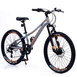 LOEBKE Fahrräder LOEBKE 24 Zoll Mountainbike for Mädchen Und Jungen, Mountain 7-Gang Fahrrad, Aluminium Rahmen Fahrrad Shimano Mit Scheibenbremse (Farbe : Grey)
