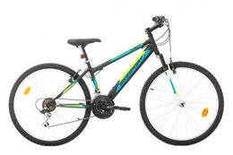 VTT Fahrräder Mountainbike, 26 Zoll, Teleskopgabel – 21 Gänge – Vorbau Headset – Shimano Kettenschaltung