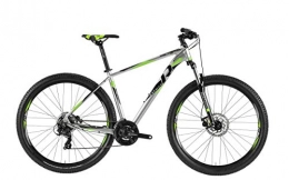 RAYMON Mountainbike RAYMON Nineray 1.0 29'' MTB Fahrrad grau / grün 2019: Größe: 48cm