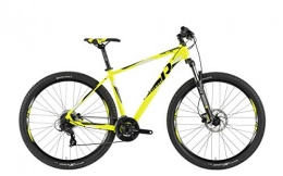 RAYMON Mountainbike RAYMON Nineray 2.0 29'' MTB Fahrrad gelb / schwarz 2019: Größe: 52cm