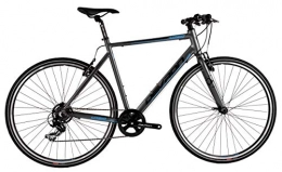 DEVRON Fahrräder Urban U1, 8 28 Zoll 52 cm Herren 7G Felgenbremse Grau