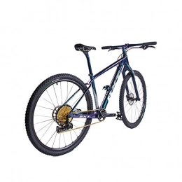 yichengshangmao Fahrräder yichengshangmao Kohlefaser-Mountainbike 12-Gang 29er Rad Doppelscheibenbremse MTB 142 * 12mm oder 148 * 12mm kompletter Boosterrahmen