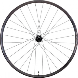RaceFace Ruedas de bicicleta de montaña RaceFace aeffect-Plus Rueda Delantera combinada, Aeffect-Plus, Negro, 15 x 110 mm