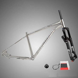 LALABIT Mountain Bike Frames LALABIT Bike Frameset Fork Titanium Alloy Mountain Frame With DT Suspension System Front Fork Competition-grade Special Barrel Axis Control Fork (Color : Silver, Size : One size)