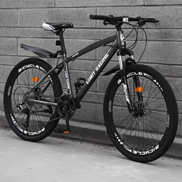 Adulte VTT, Plein Air Sport Hardtail Mountain Bikes Vélo Route, Double Frein À Disque Pays Gearshift Vélo,Gray 21 Speed,26 inches