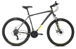 breluxx Vélo de montagnes breluxx® VTT 29" D2 Hardtail FS Oxygen Sport, 21 vitesses Shimano, couleur argentée, jaune mat.