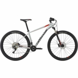 CANNONDALE Trail 4 29 Sage Gray