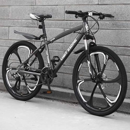LADDER vélo Dsrgwe VTT, 26” Mountain Bike, Cadre en Acier au Carbone Mountain Bicycles, Double Disque de Frein et de Suspension Avant (Color : C, Size : 21-Speed)