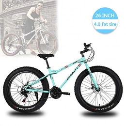 LDLL Vélos de montagne Fat Tires VTT 26'', Fat Bike vélo Tout-Terrain 21 / 24 / 27 Vitesses vélo de Montagne 4.0 pneus Larges pour Adultes en extérieur