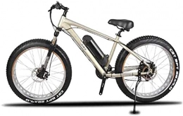 CASTOR vélo CASTOR Vélo électrique Vélos électriques vélo, diamètre de Roue de 26 Pouces 350W Vélos pour Adultes 21 Vitesse Sports Vélo en Plein air