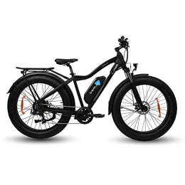 DERUIZ Vélos de montagne électriques DERUIZ Lava 26”Vélo électrique 750W Fat Bike vélo de Montagne, VTT de Neige, Amovible Batterie au Lithium-ION 48V 676Wh, Shimano 7 Vitesses, E-Bike pour Adulte(Noir)